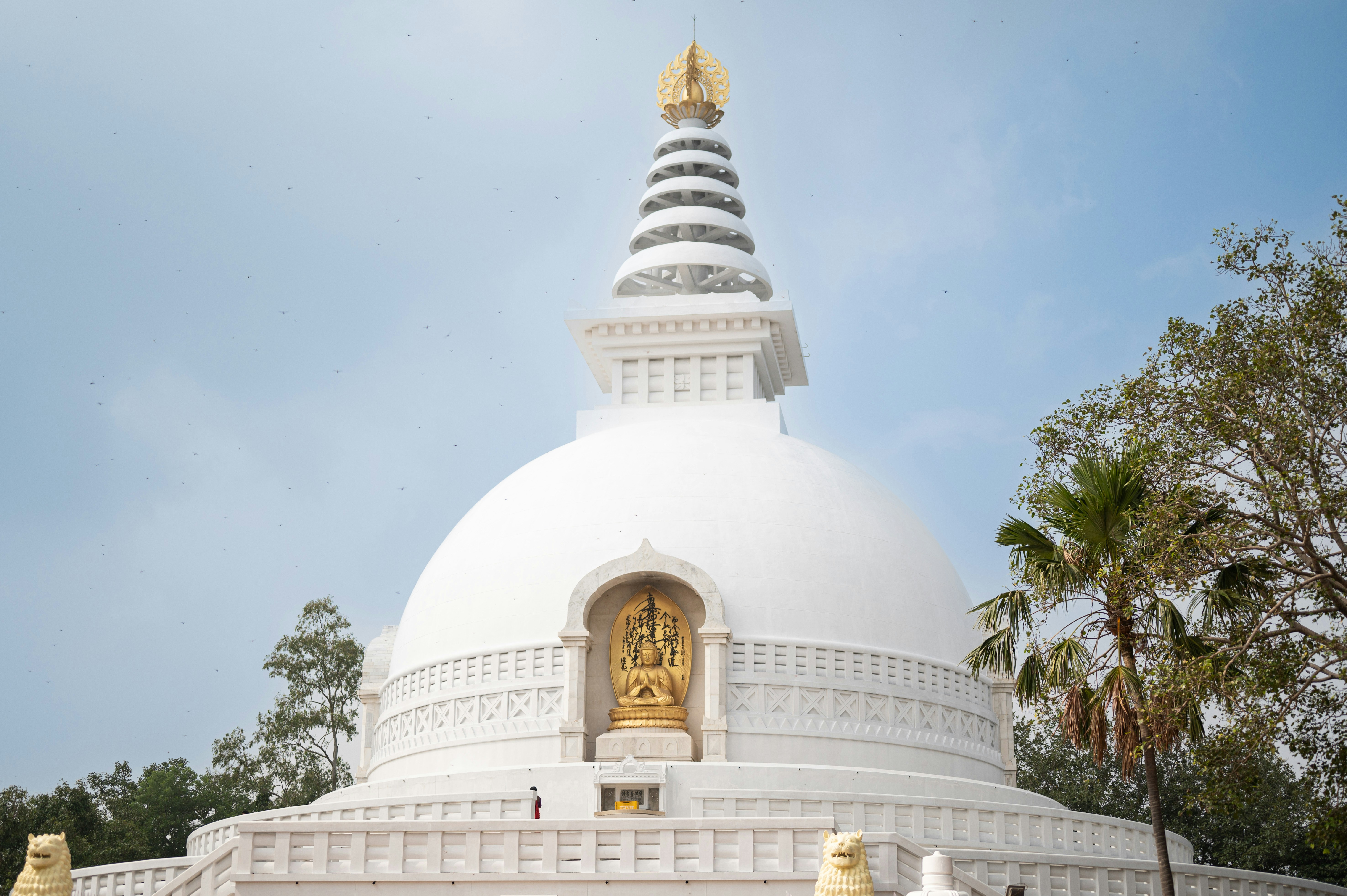 Rajgir pilgrimage Tour